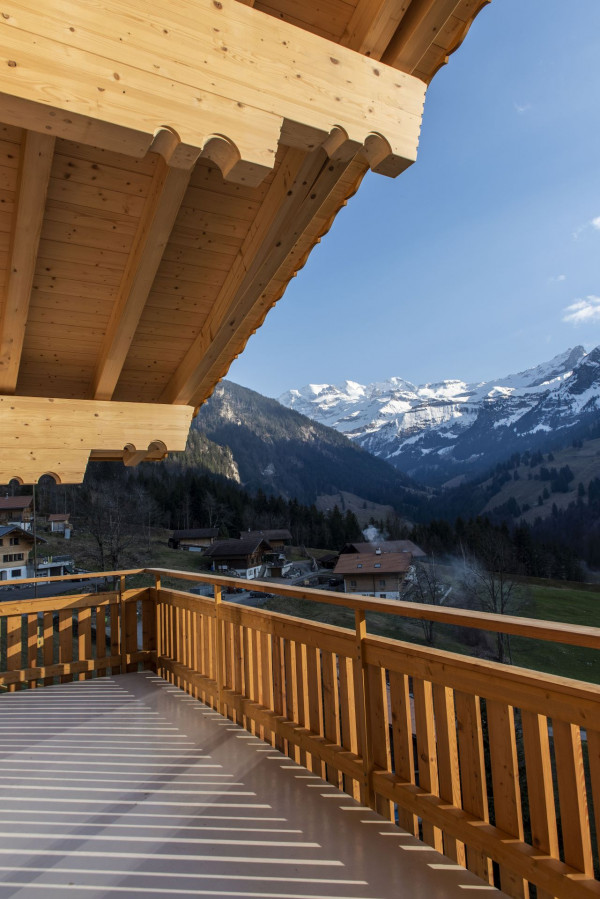 Neubau Chalet